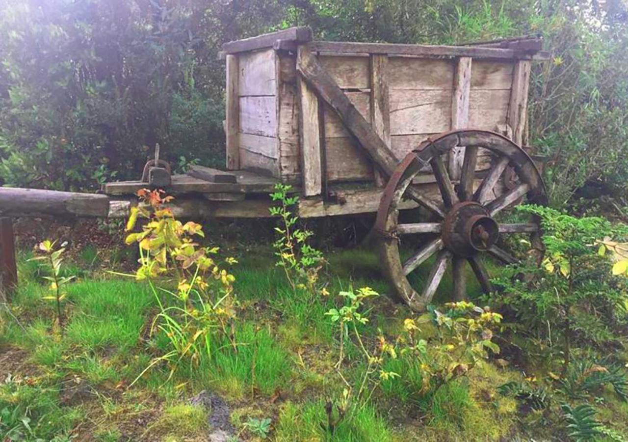 Cabanas Los Cantos Del Chucao Puerto Varas Exterior foto